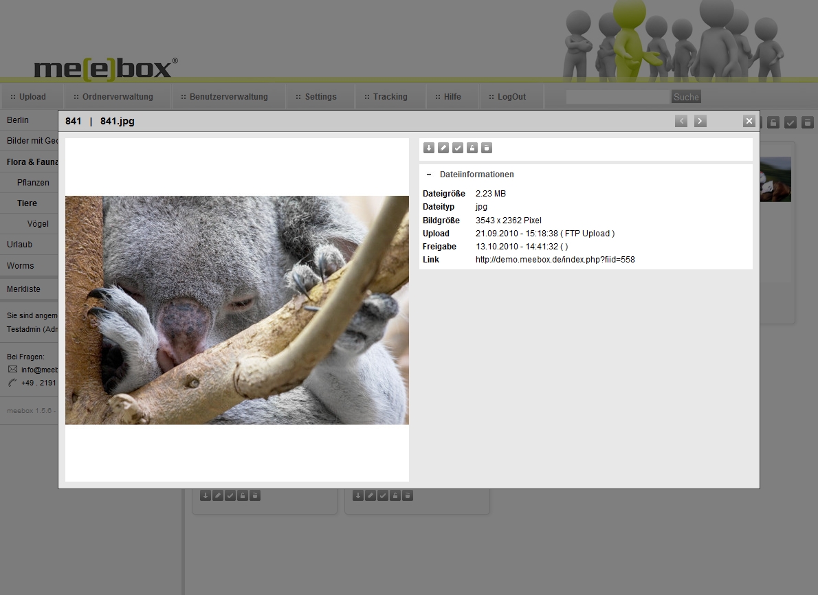 meebox - Automatische Thumbnailgenerierung